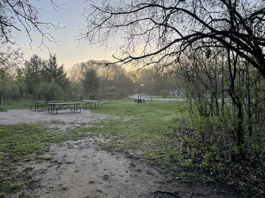 Sun burning through the mist on day 2, Kettle Moraine State Park