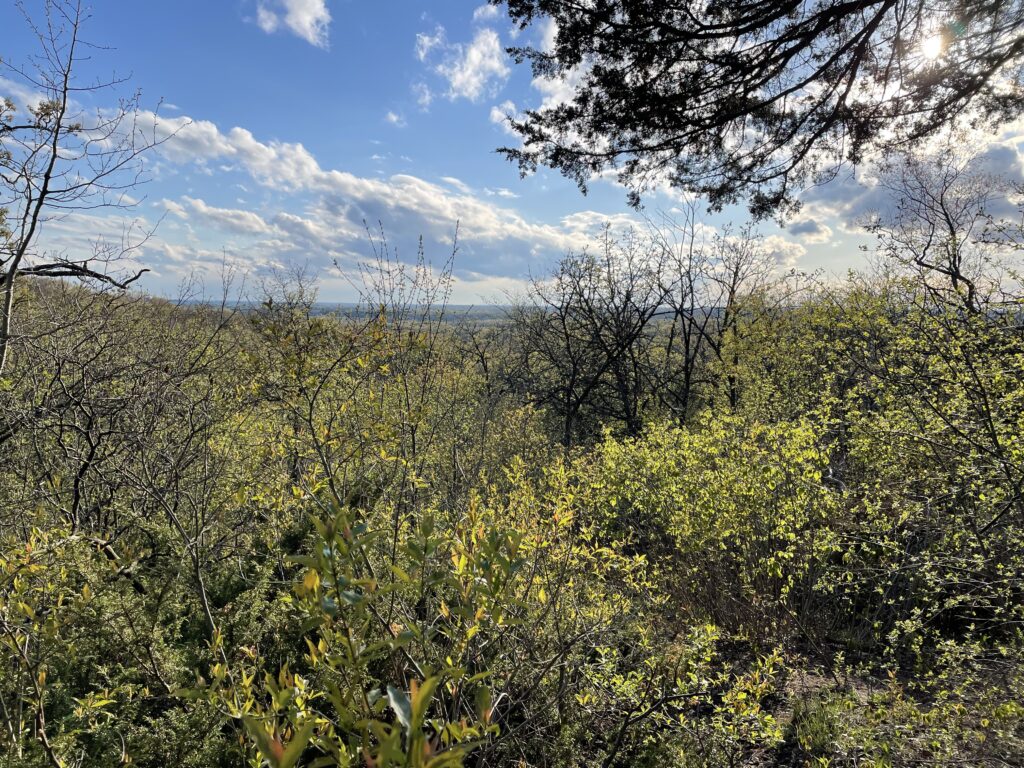 Along the 1.5 mile long loop trail in Kettle Moraine State Park.