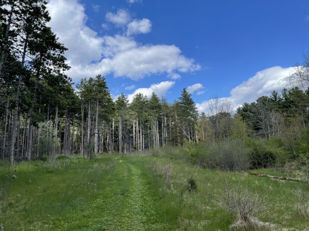 Trail junction along the 9 mile loop trail in Kettle Moraine State Park